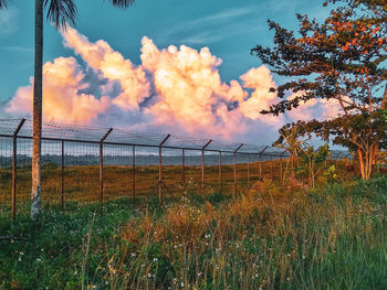 Fence on field against sky during sunset