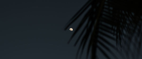 Low angle view of illuminated building against sky at night