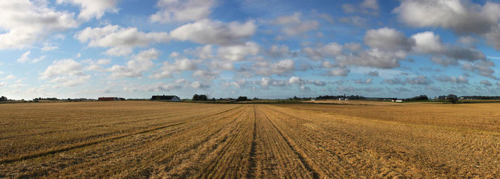 Scenic view of agricultural field against sky