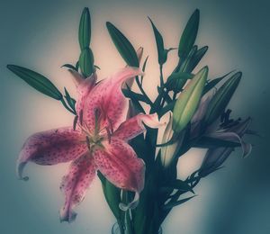 Close-up of flowers