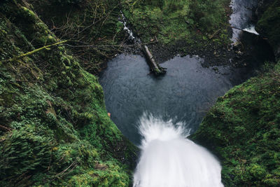 Looking down multnomah falls in the columbia gorge in oregon.