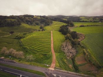 Scenic view of agricultural field against sky