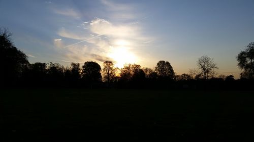 Silhouette of trees on landscape at sunset