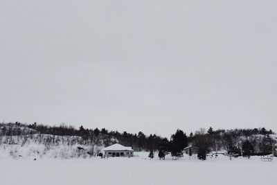 Trees on snow field against clear sky