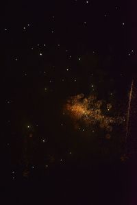 Low angle view of fireworks against sky at night