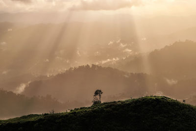 Scenic view of landscape against sky during foggy weather