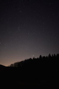 Scenic view of silhouette trees against sky at night