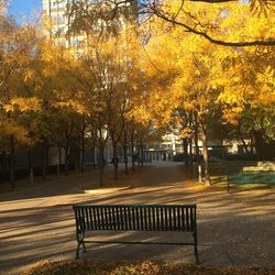 Empty bench in park during autumn