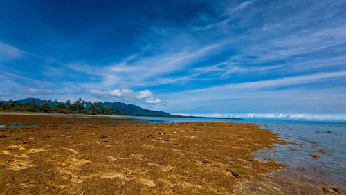 Scenic view of beach against blue sky