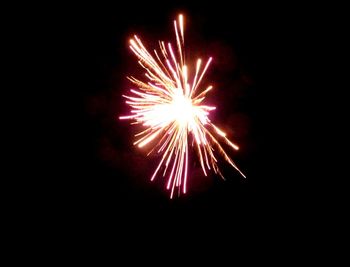 Fireworks exploding in night sky