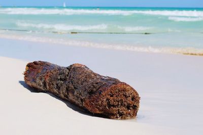 Close-up of sand on beach against sky