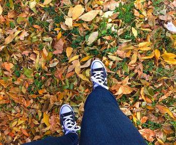 Low section of man standing on fallen leaves