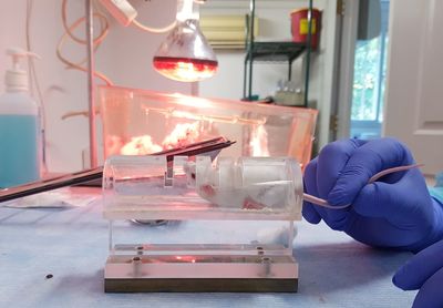 Person holding umbrella