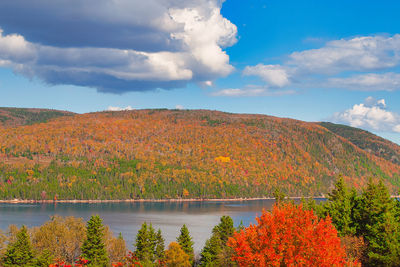 autumn