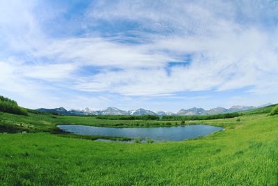 Scenic view of field by lake against sky