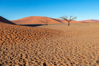 A frame near of deadvlei