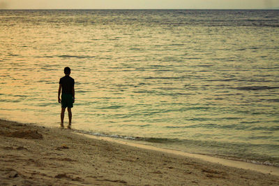 Rear view of man walking at beach during sunset