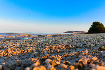 Surface level of pebble beach against clear sky