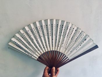 Cropped image of person holding hand fan