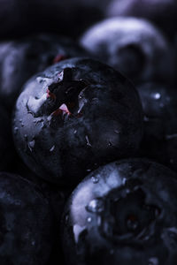 Close-up of blueberries