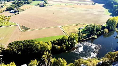 High angle view of trees on landscape