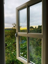 Trees on field seen through glass window