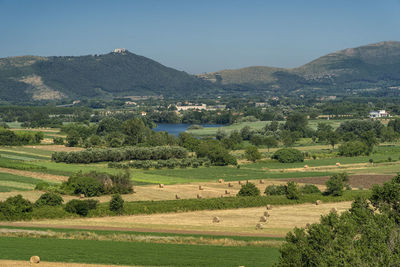 Scenic view of agricultural field against sky