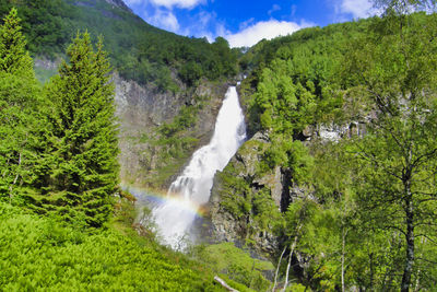 Scenic view of waterfall in forest