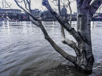 View of river in city