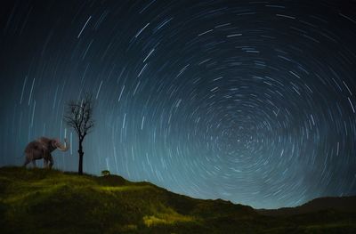 Scenic view of star field against sky at night