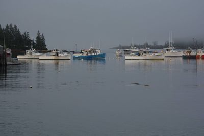 Boats moored at harbor against clear sky