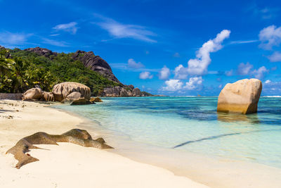 Panoramic view of rocks on beach against blue sky