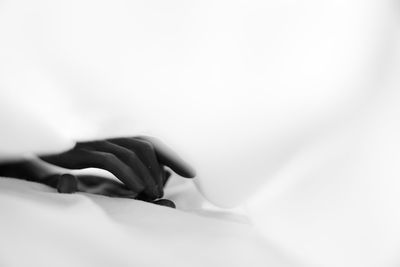 Close-up of hands over white background