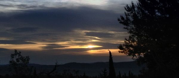 Silhouette of tree against cloudy sky