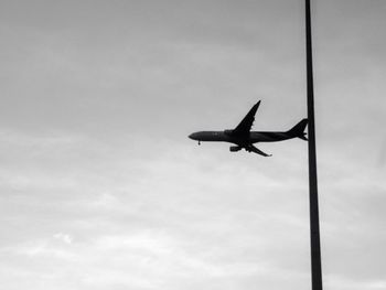 Low angle view of bird flying in sky