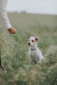 Man with dog on field