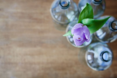 High angle view of flower in jar on table