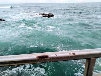 High angle view of lizard on sea