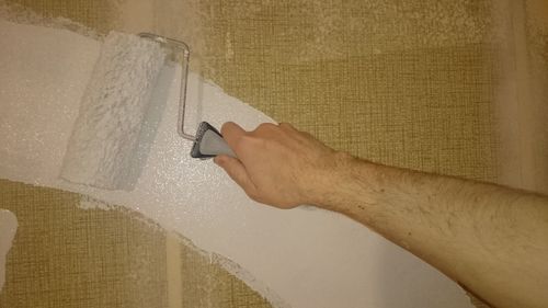 Cropped image of man painting wall at home