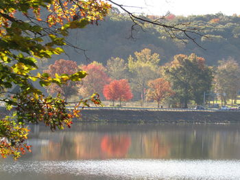 Reflection of trees in lake against sky during autumn