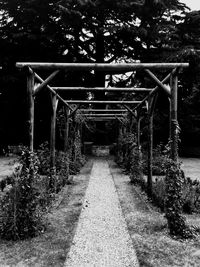 Empty footpath along trees