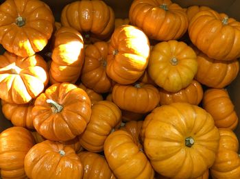 Full frame shot of pumpkins in market