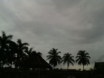 Silhouette of palm trees against cloudy sky