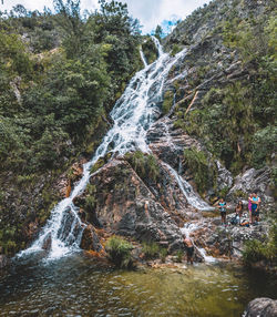 Scenic view of waterfall in forest
