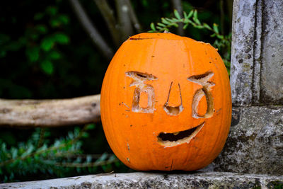 Close-up of pumpkin on stone wall during halloween