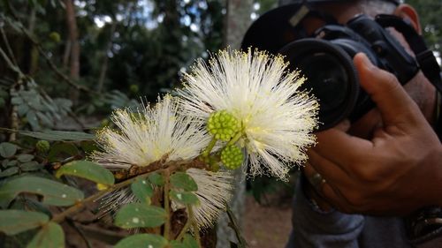 Midsection of man holding flower