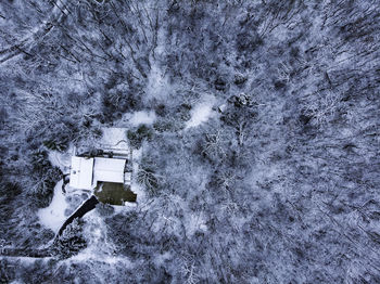 High angle view of snow covered plants and trees
