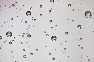 Close-up of bubbles