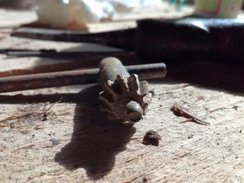 Close-up of wood on wooden floor