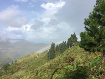 Scenic view of landscape against cloudy sky